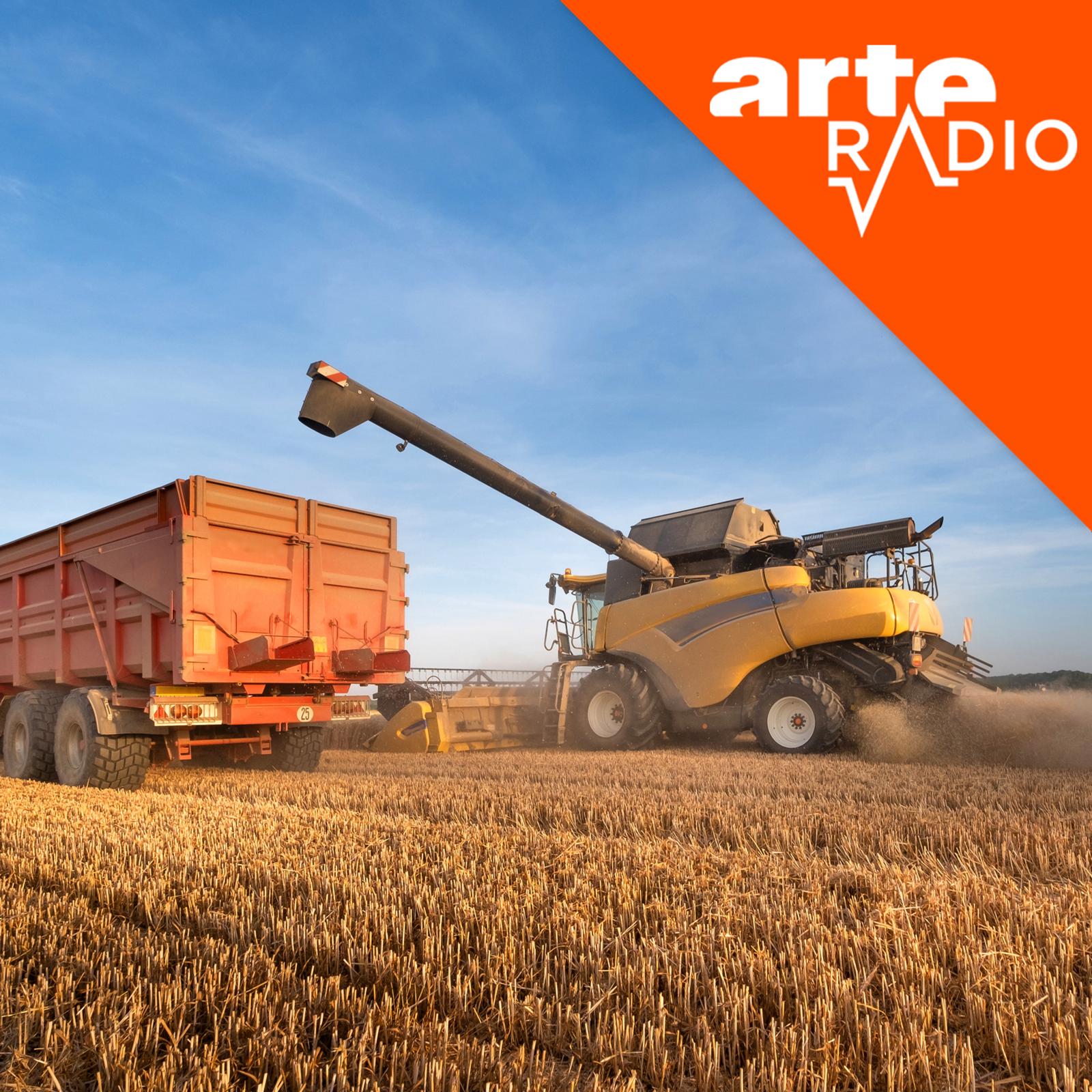 [DÉBAT] Guerre au Moyen-Orient : une menace pour l’agriculture européenne ?