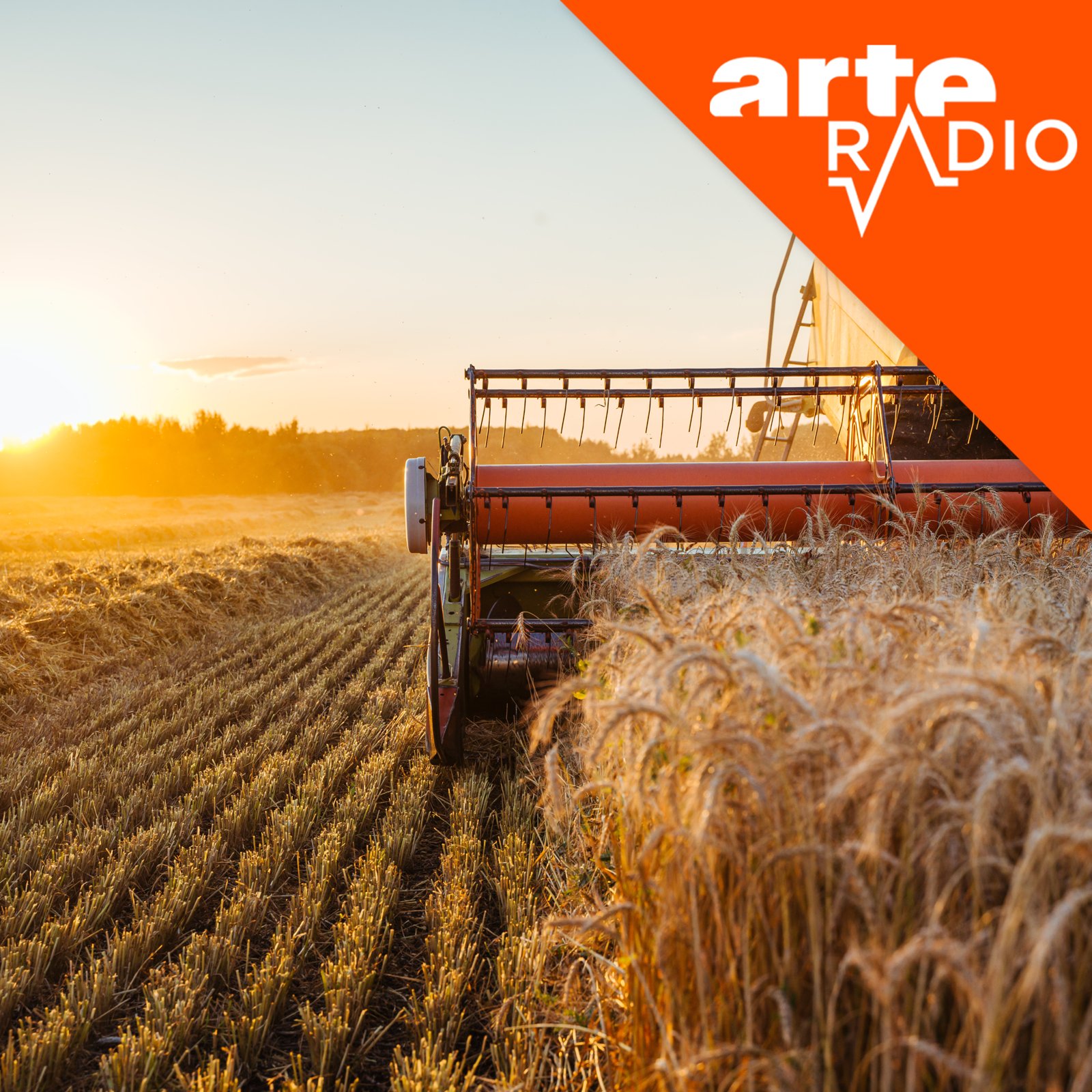 [DÉBAT] Trouver un modèle agricole durable en France ?