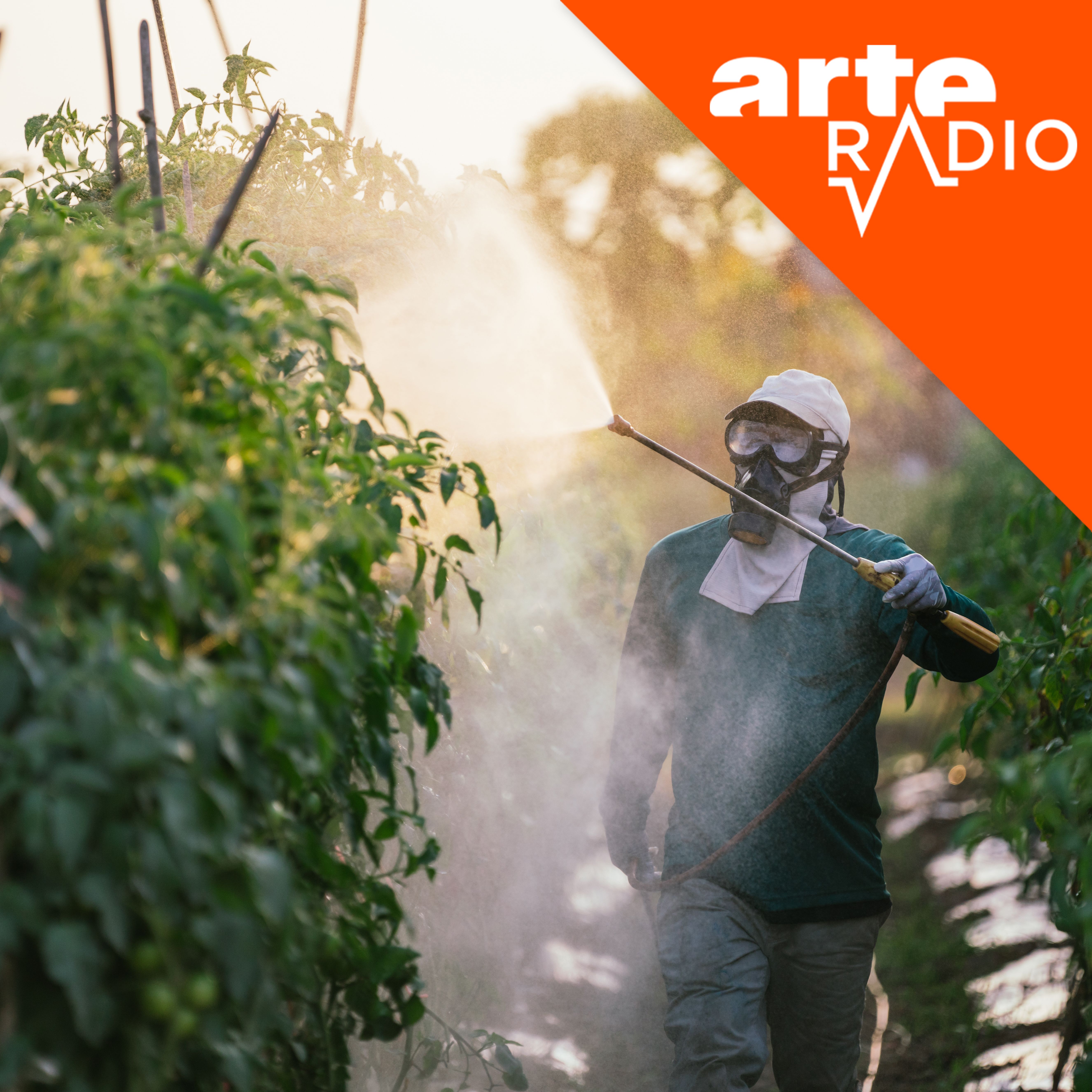 [DÉBAT] Pétition vs loi Duplomb