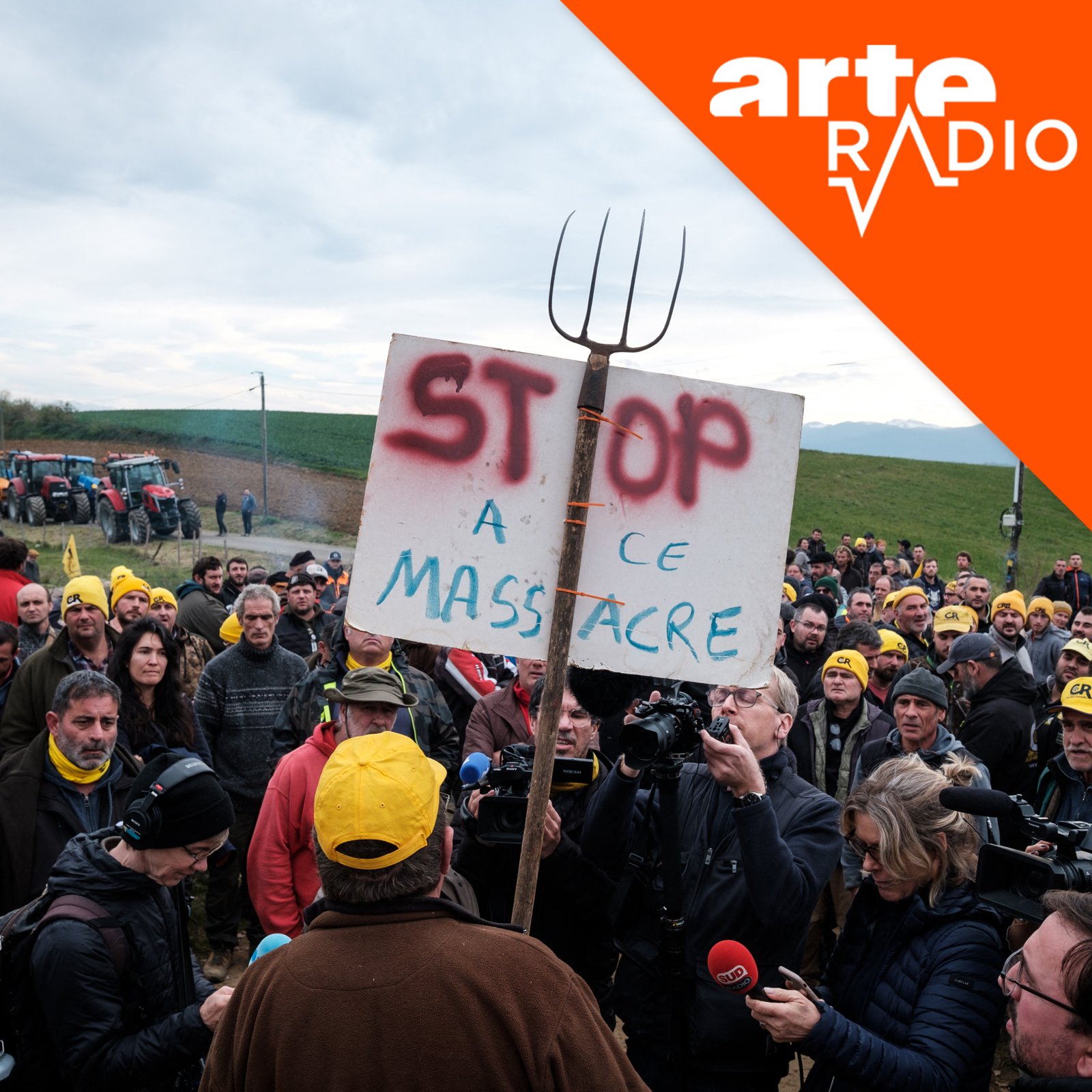 [DÉBAT] DNC : l’épidémie qui ébranle l’élevage français ?