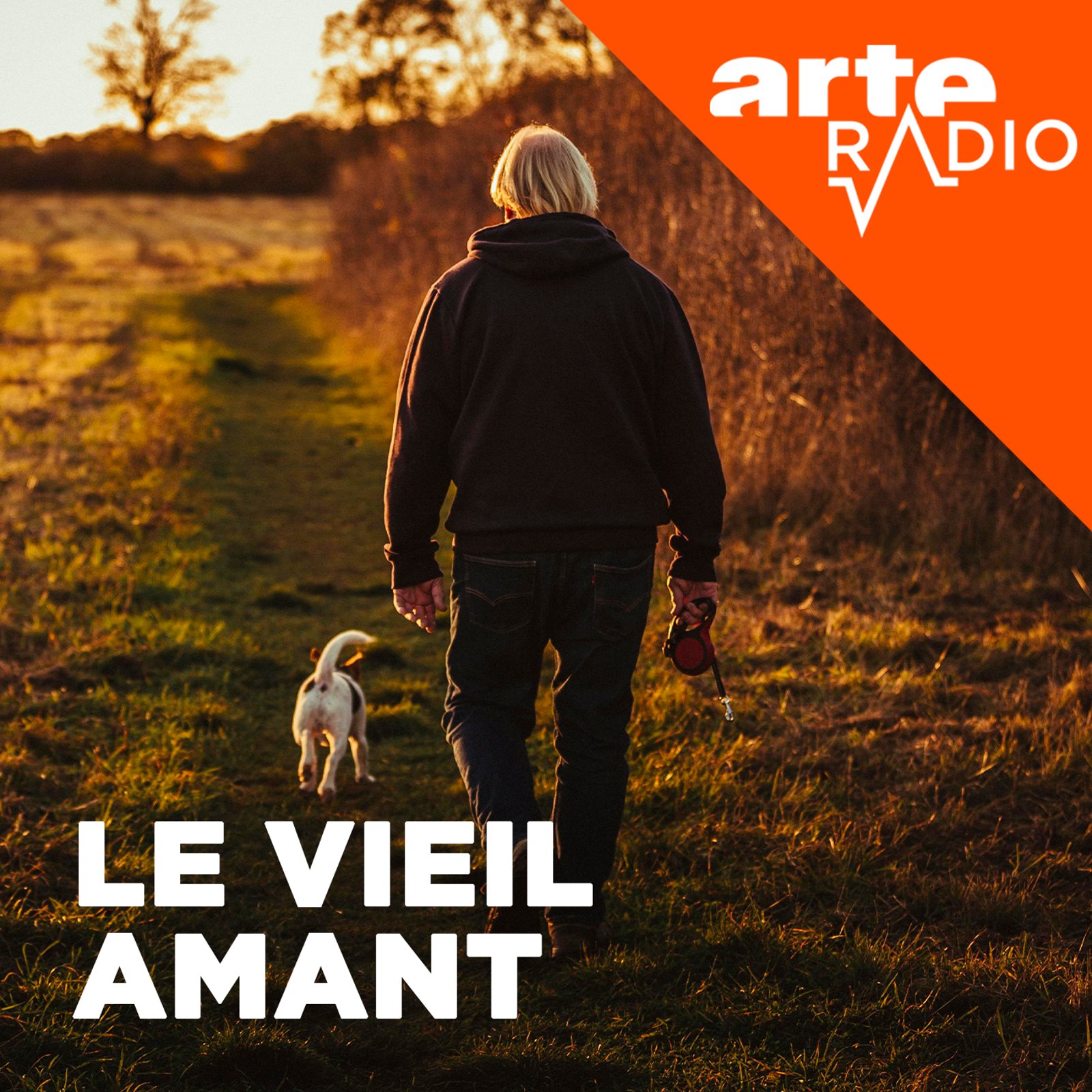 Le vieil amant