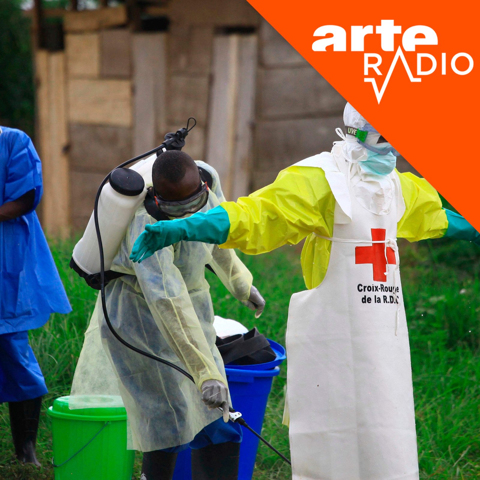 [DÉBAT] Ebola, hantavirus… Face à l’émergence de nouveaux virus, le monde est-il suffisamment prêt ?
