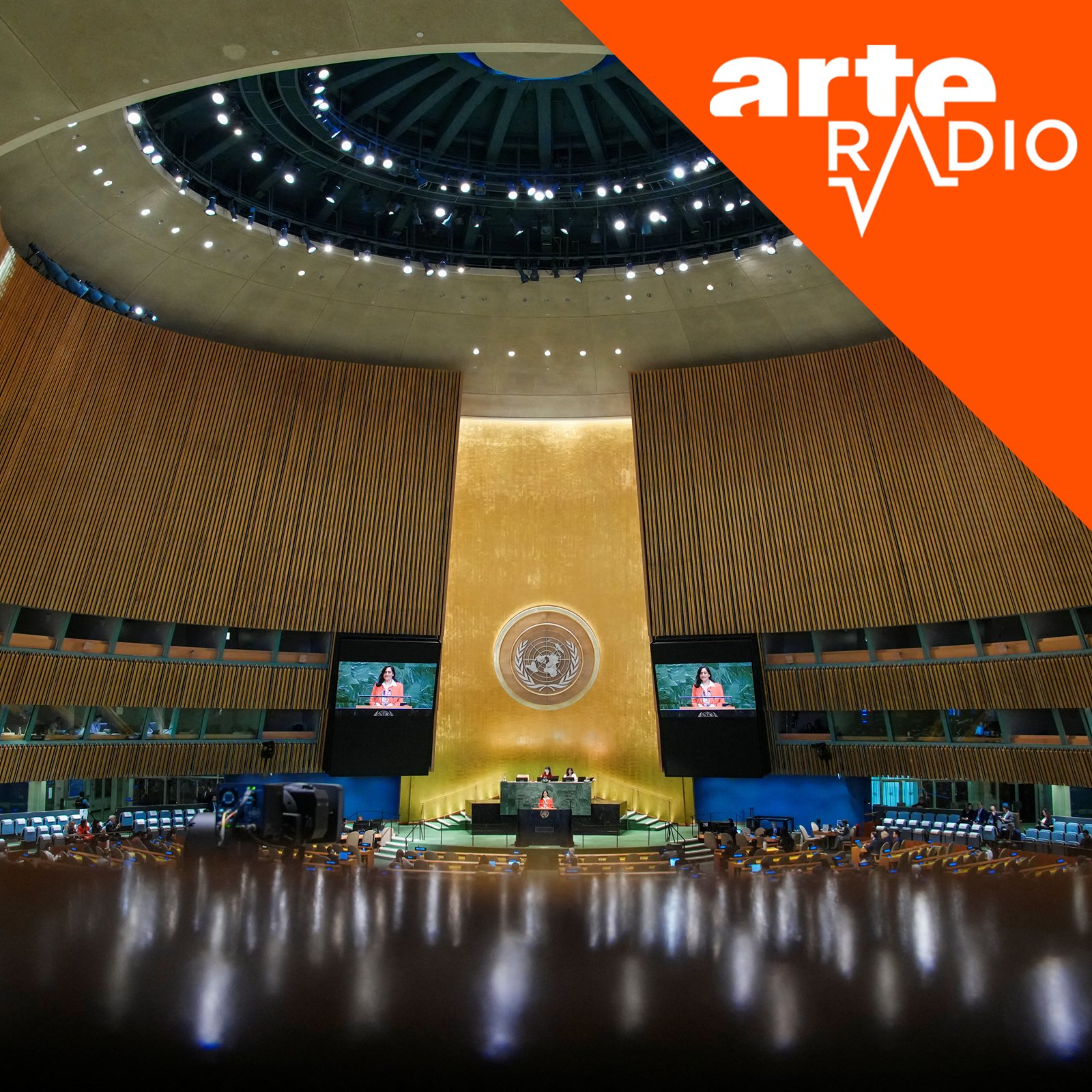 [DÉBAT] L’ONU est-elle en état de mort cérébrale voire de disparition ?