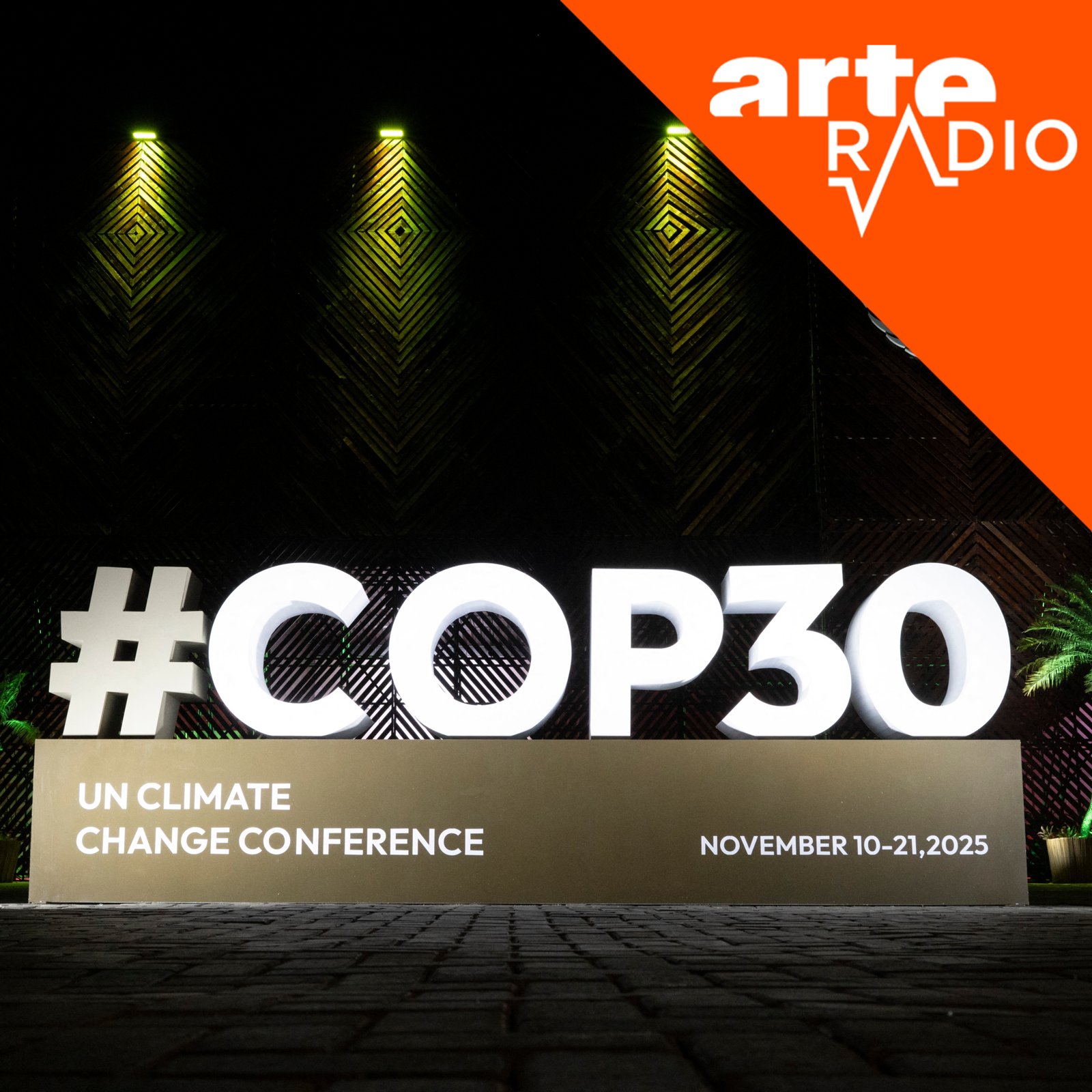 [Débat] La COP30 au Brésil, pour quoi faire ?