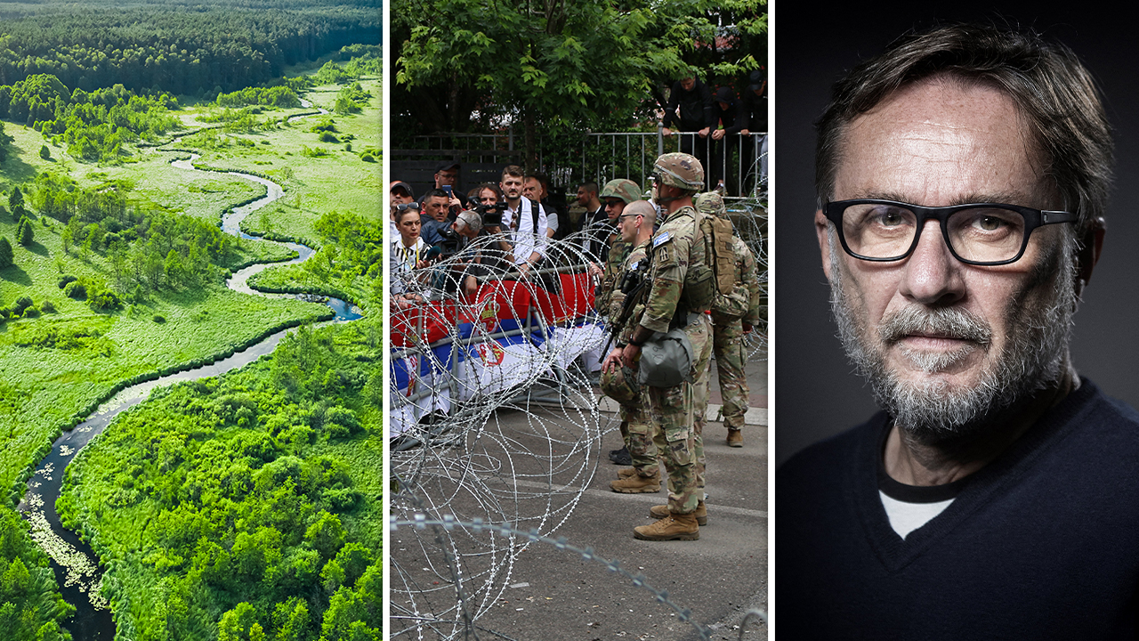 Marc Dugain / Affrontements au Kosovo / Comment sauver nos forêts ?