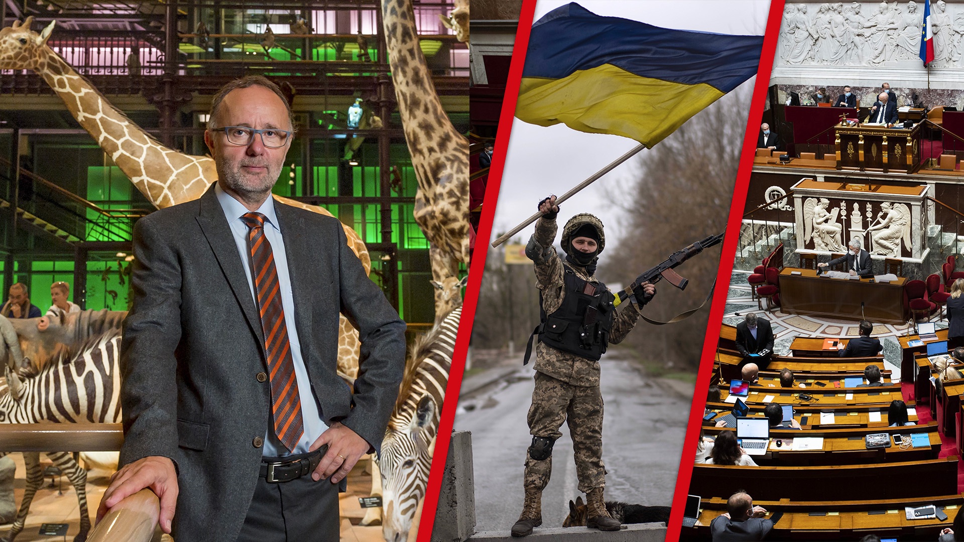 Bruno David / Ukraine : reconstruction - Europe de coalition